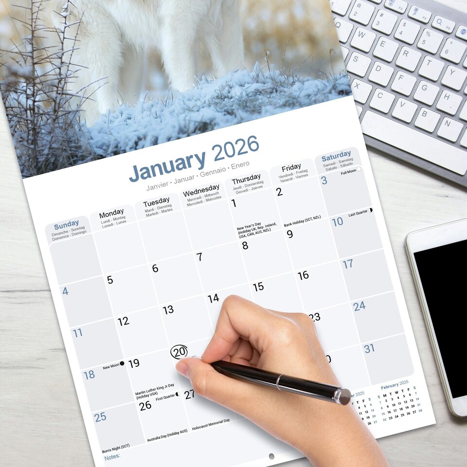 image 1 of Great Pyrenees 2026 Calendar | Square Wall Calendar | Dog Breed Gift | Plastic Free Packaging | by Avonside Publishing