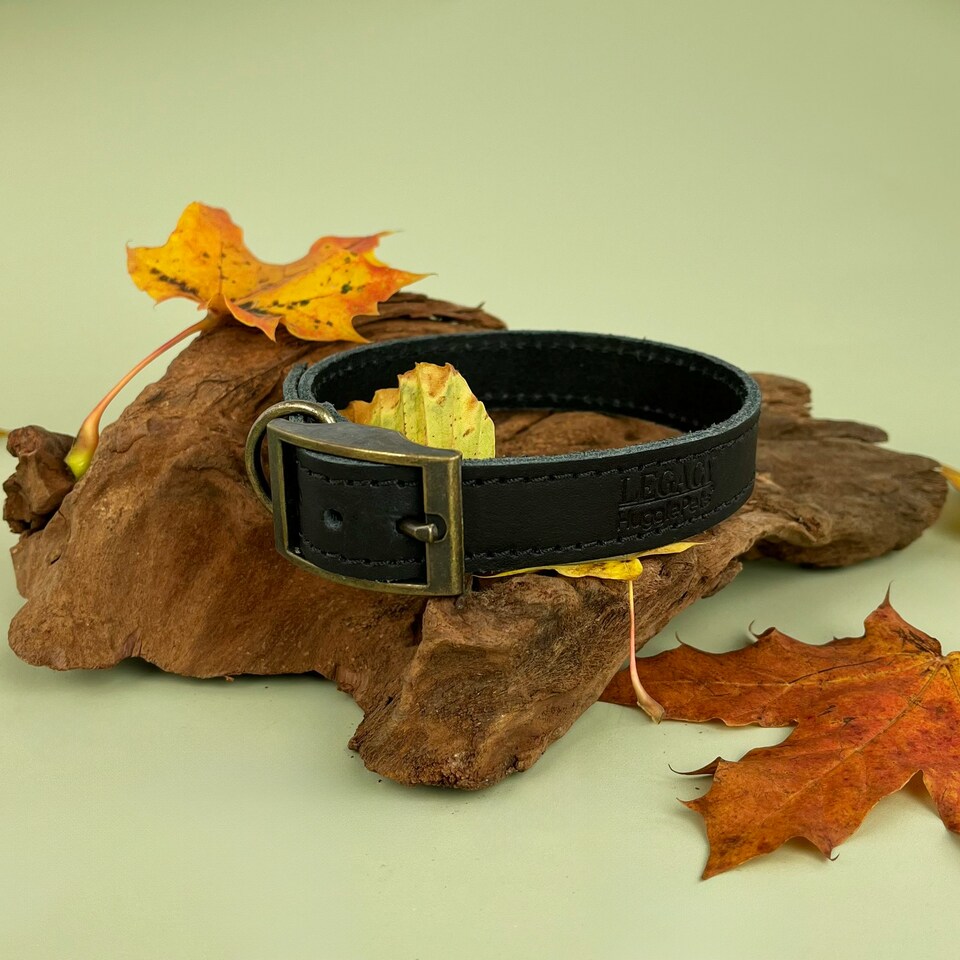 image 1 of HugglePets Legacy Leather Dog Collar - Black Black | XS