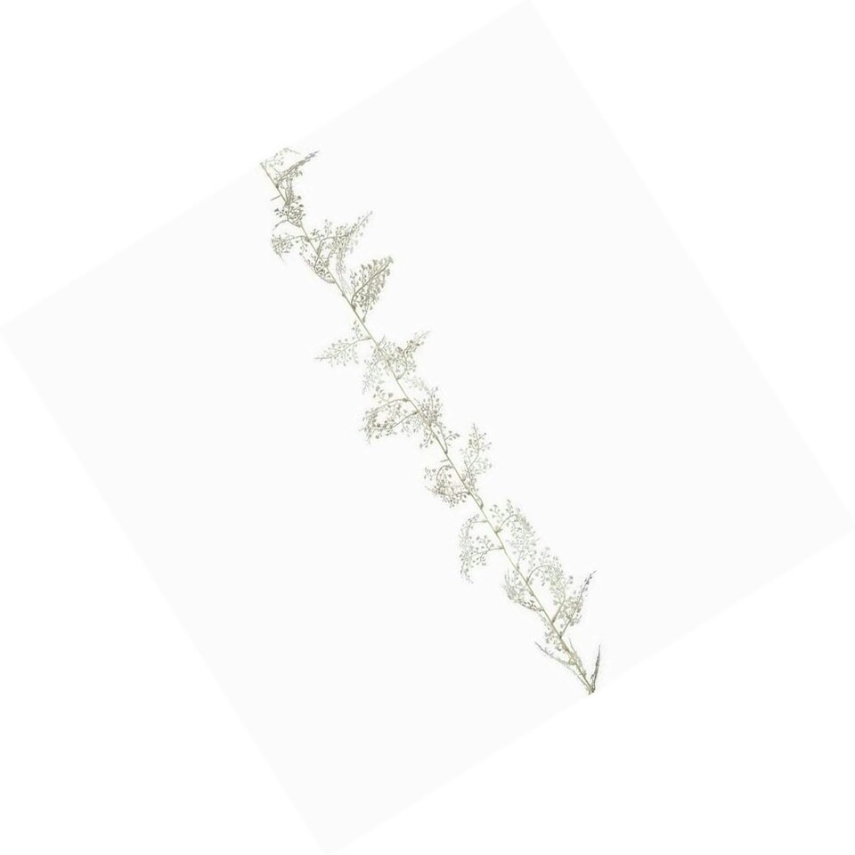 image 1 of Premier Glitter Maidenhair Fern Christmas Garland - White - 1.8m