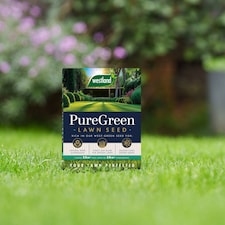 Westland PureGreen Lawn Seed