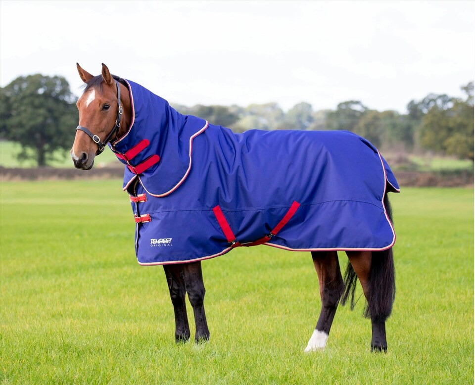 image 1 of Shires Tempest Original 100 Turnout Rug & Neck | Blue | Size: 6ft 9
Colour: Navy Blue