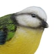 image 4 of Blue Tit Garden Sculpture Ornament Statue Resin Decoration Animal Bird