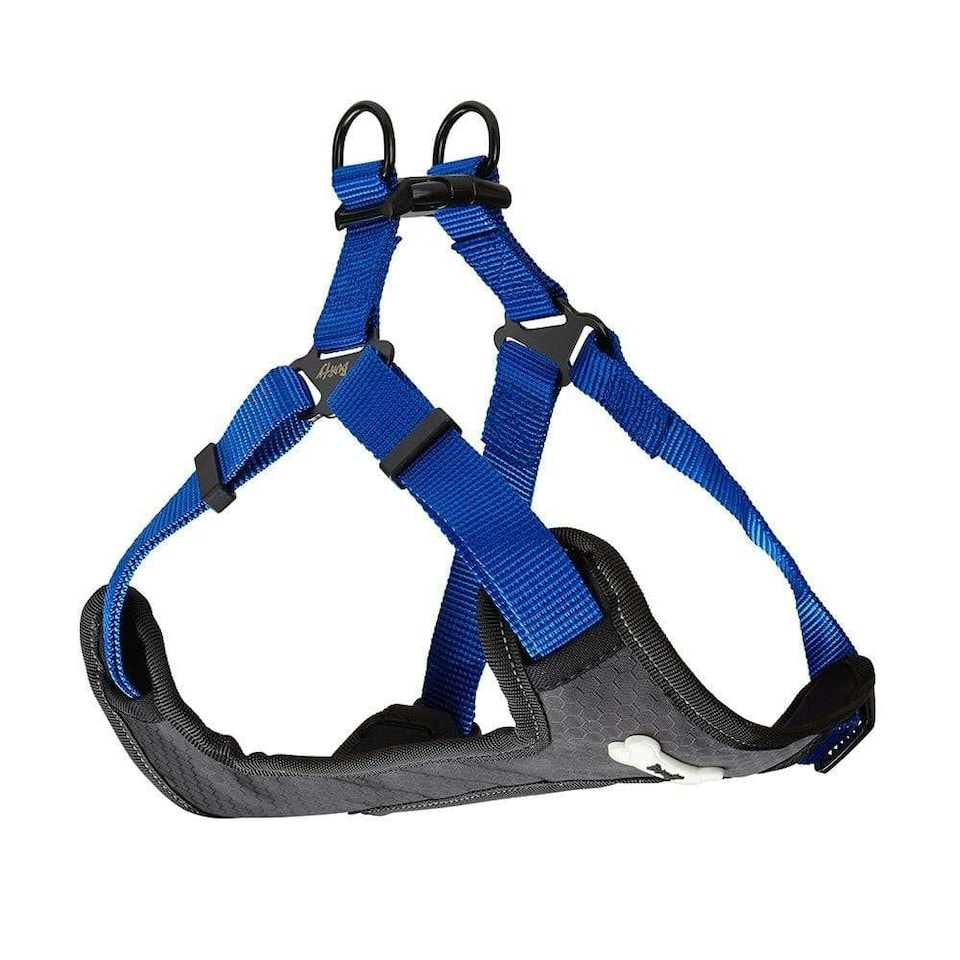 image 1 of Dog Harness - Bunty Strap 'N' Stroll Black | M