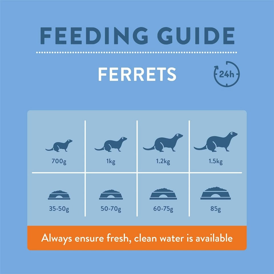 image 1 of Burgess Excel Ferret Nuggets 2KG X 4 Pack