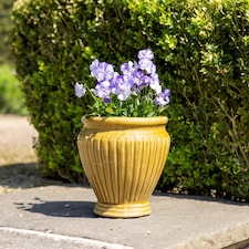 Primrose Rib Textured Glazed Terracotta Round Planter In Gloss Yellow 22cm