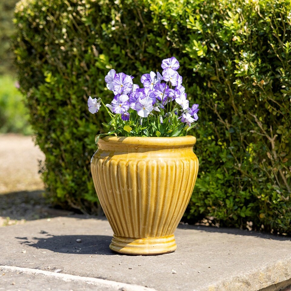 image 1 of Primrose Rib Textured Glazed Terracotta Round Planter In Gloss Yellow 22cm