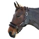image 2 of HYCONIC Faux Fur Horse Head Collar & Lead Rope - Brown - Cob