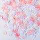 image 1 of Pink And White Heart Shape Biodegradable Wedding Paper Confetti 7g