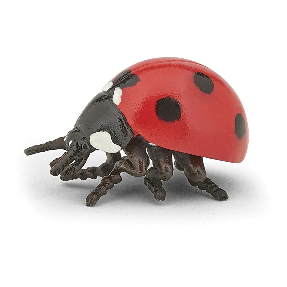 image 1 of PAPO Wild Life in the Garden Ladybird Toy Figure