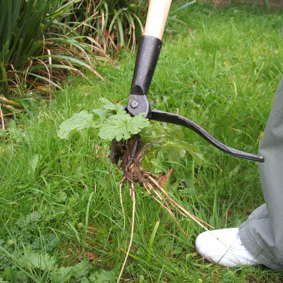 image 1 of Greena Eze Weeder - Stand-Up Weeder