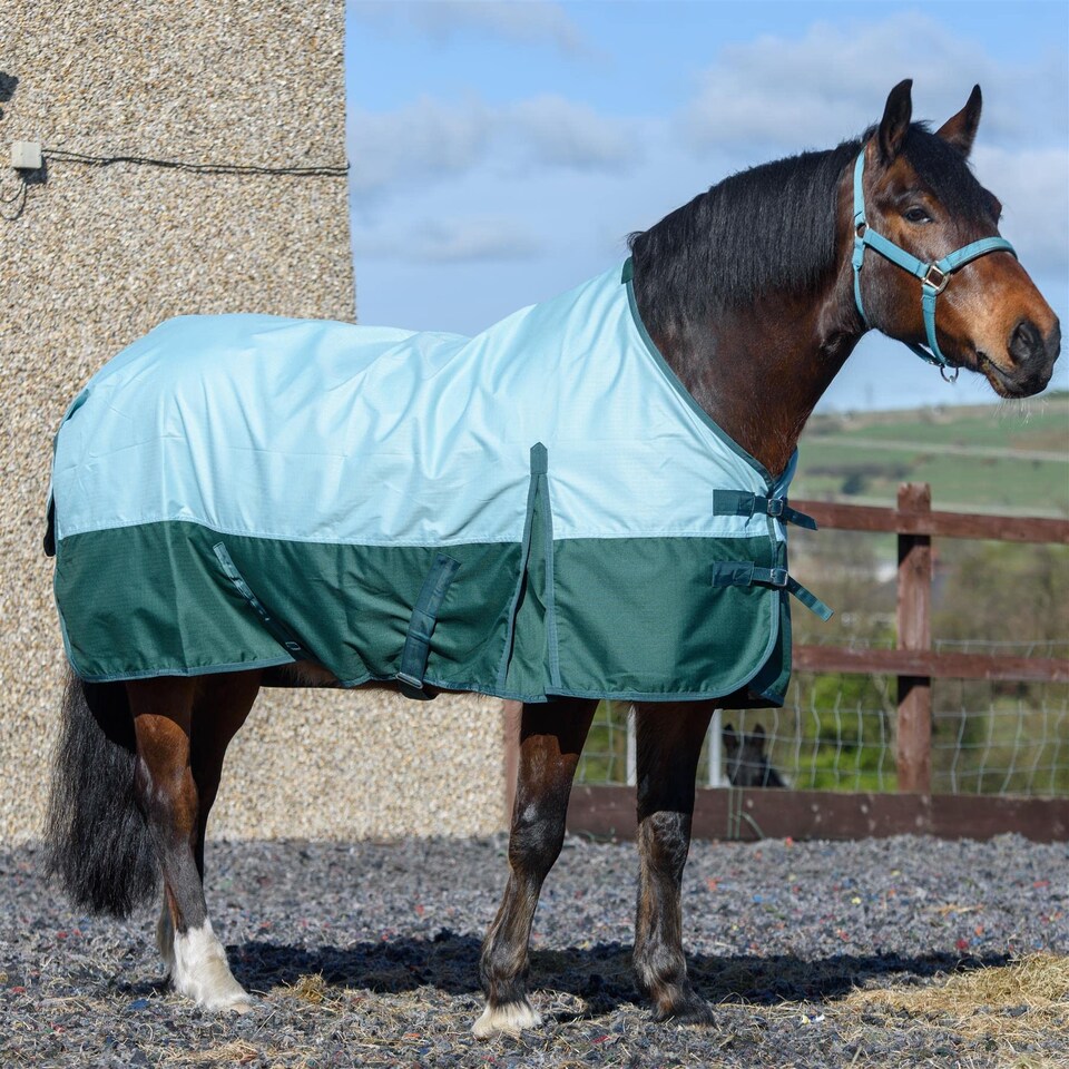 image 1 of eQuitack 600D Waterproof Horse Turnout Rug 0g No Fill Regular Neck Pista Aqua/Bottle Green 6'9''