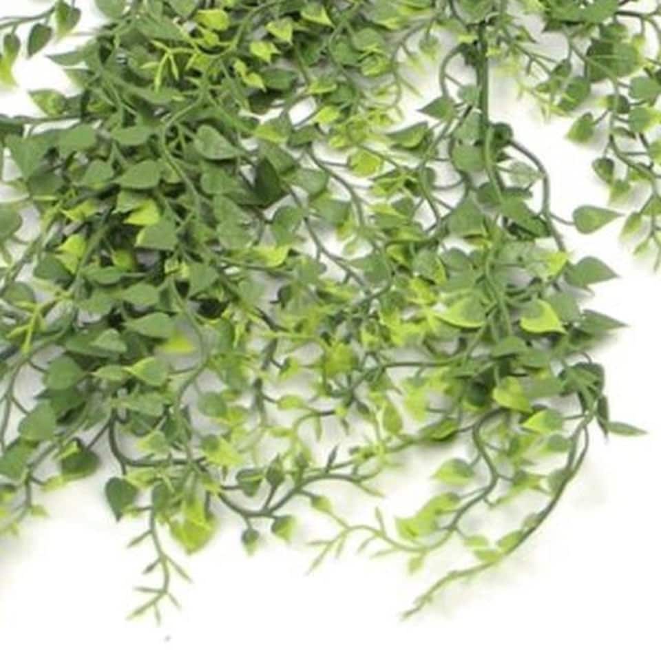 image 1 of Hanging UV and Fire Resistant Artificial Trailing Button Fern Plant 82cm