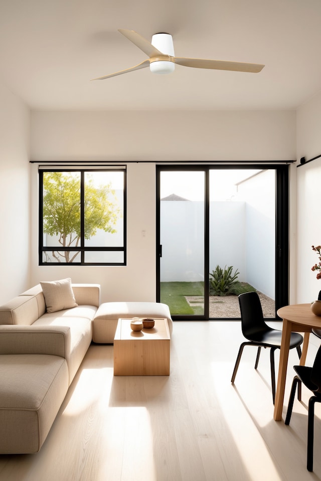 image 1 of Punt Tub Medium 3 Blade Ceiling Fan Matt White, Maple with Light 3000 - 4200 - 6500K Tuya Smart System