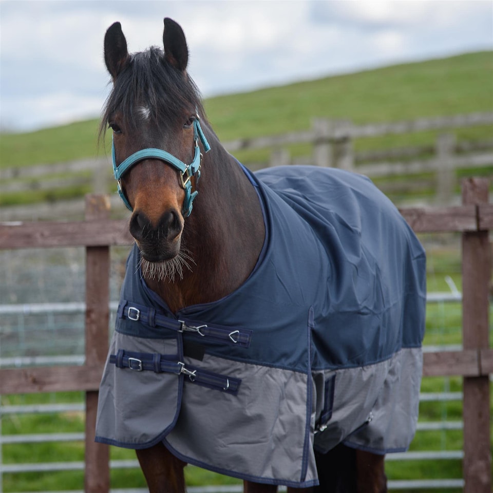 image 1 of eQuitack 600D Waterproof Horse Turnout Rug 0g No Fill Regular Neck Navy/Grey 6'0''