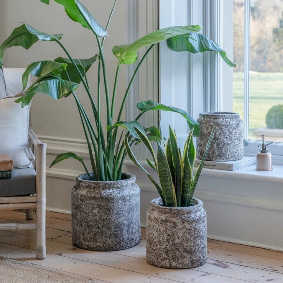 image 1 of Kew Volcanic Textured Planter - Ceramic - L23 x W23 x H23 cm - Grey Grey