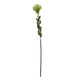 image 1 of Hill Interiors Pincushion Protea Spray Artificial Flower - Green - One Size