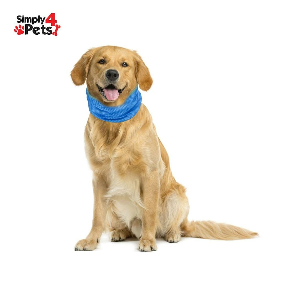 image 1 of Dog Cat Puppy Cooling Bandana Pet Cooler Ice Cool Scarf Collar Relief Med. Large Blue | L