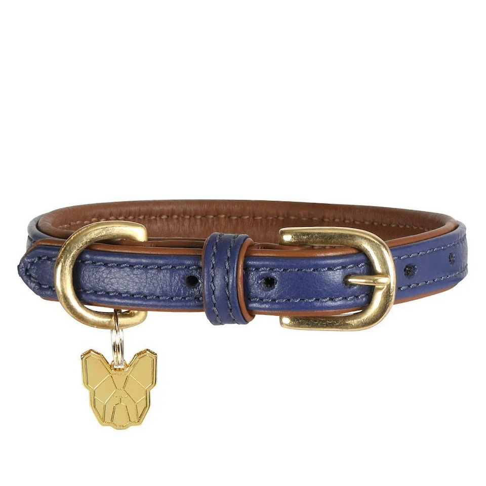 Digby & Fox Leather Padded Dog Collar - Navy - XXL - Neckline: 65cm-70cm