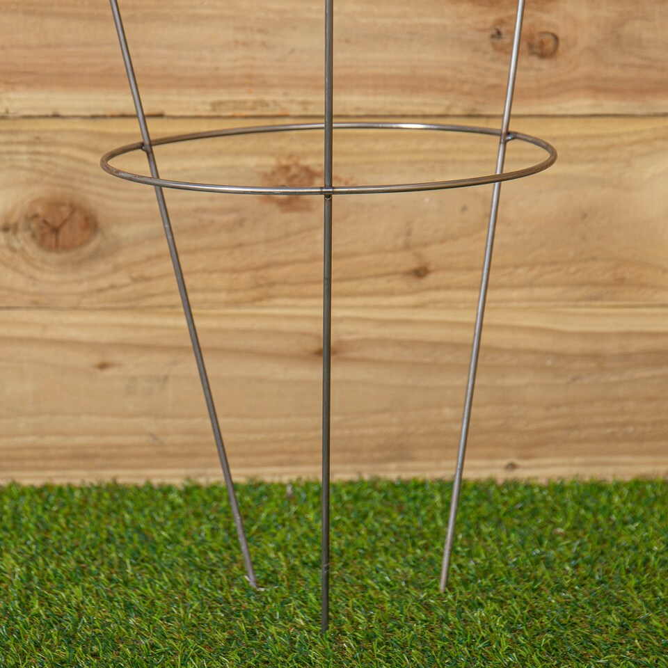 image 1 of Pack of 2 Tom Chambers Herbaceous Bare Rusted Steel Garden Plant Support Medium 54cm x 40cm