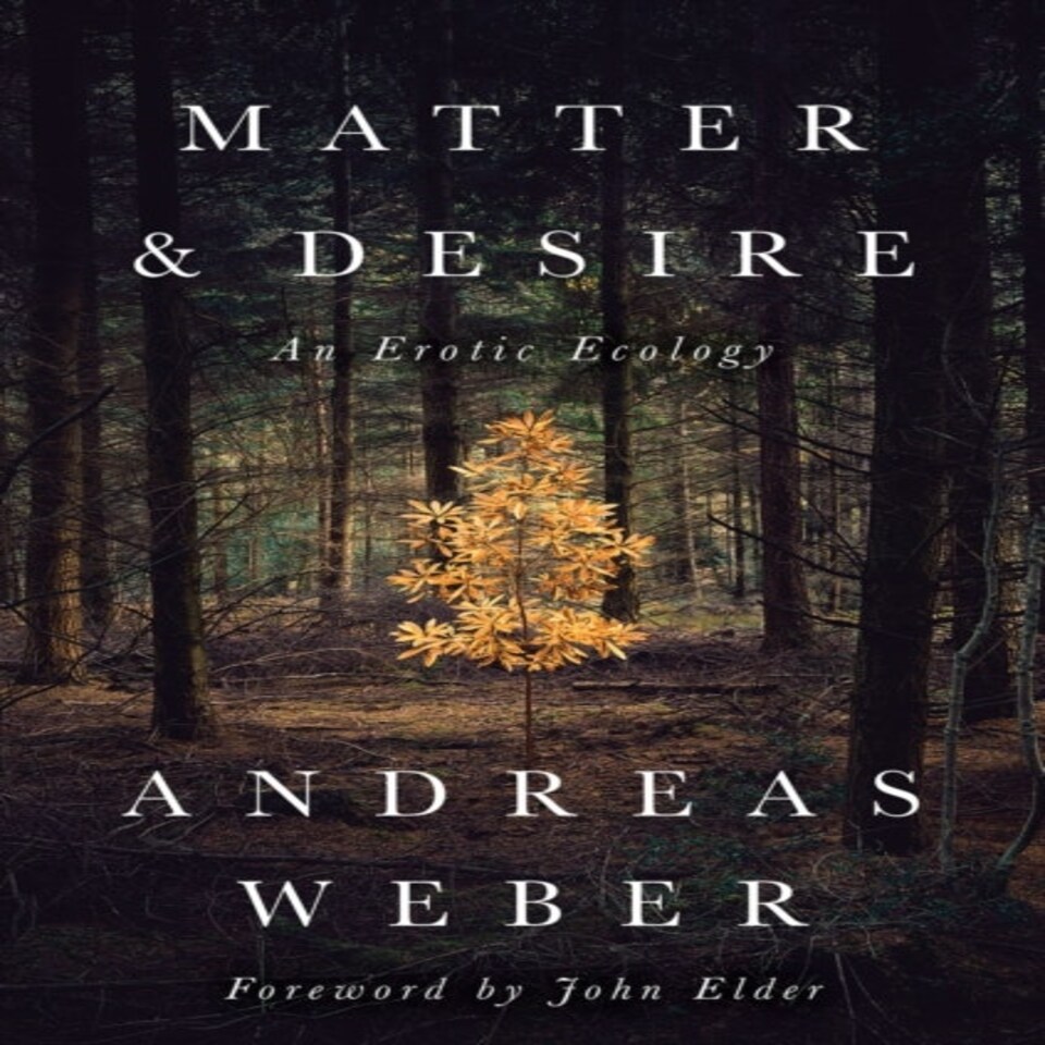 Matter And Desire