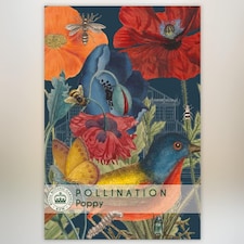 Poppy Promo New Kew Range 1 Packet (2000 Seeds)
