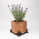 image 3 of Blue Tit On Log Plant Pot Feet - Set of 3 - L7 x W6.5 x H8 cm Brown