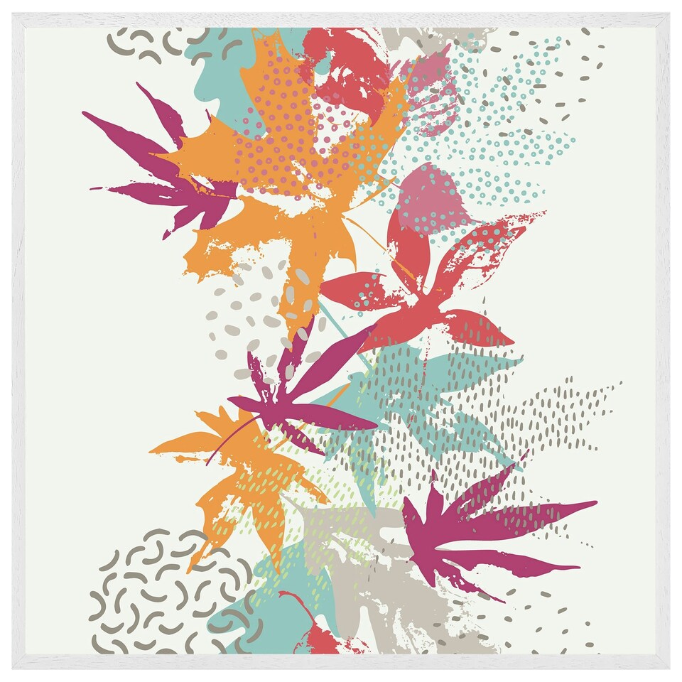 image 1 of Japanese maple (Picture Frame) White | XS