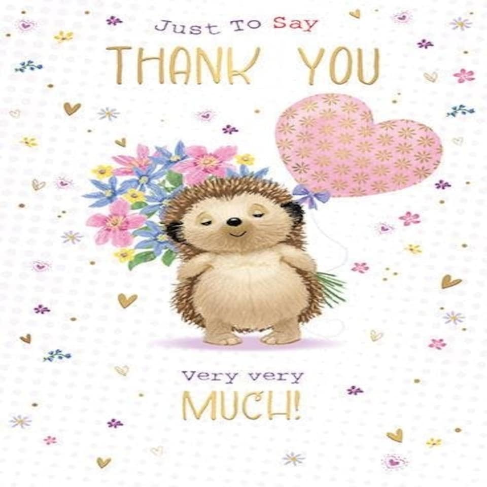 Words 'n' Wishes Traditional Thank You Card, Hedgehog Design, Flowers, Heart Balloon, Gold Foil, UK Made