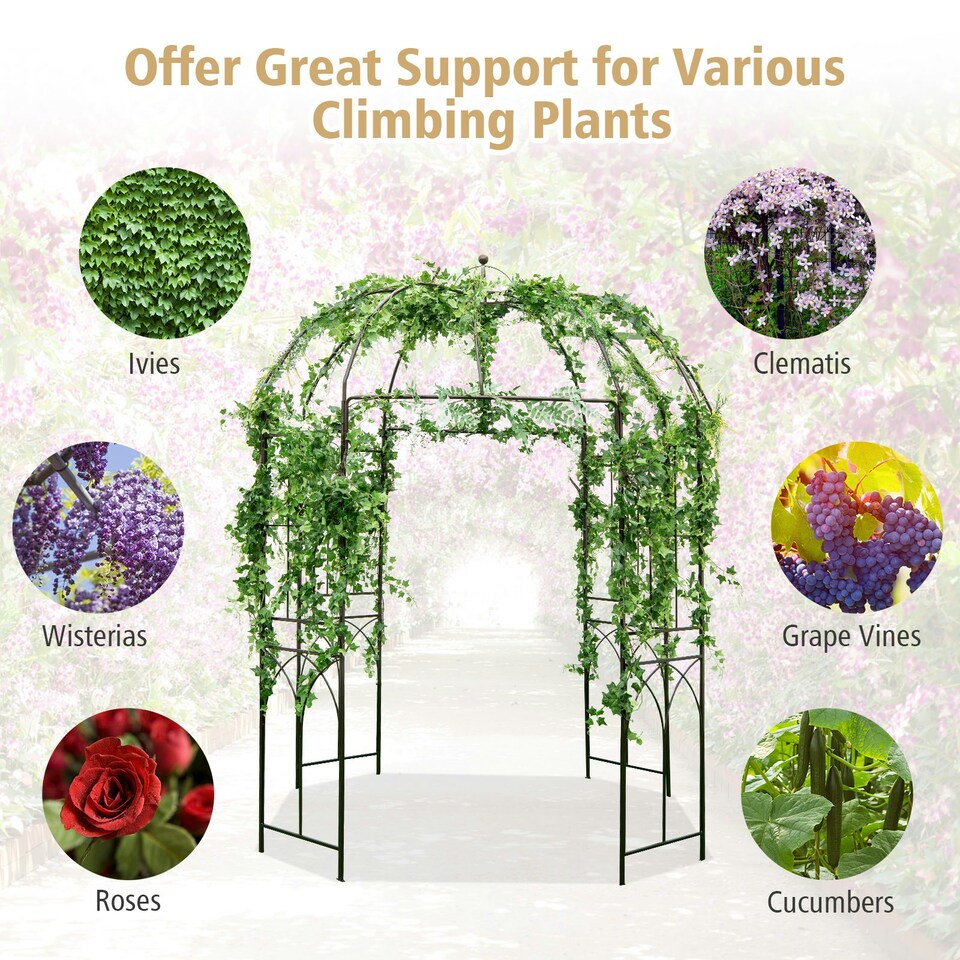 image 1 of COSTWAY Birdcage Shape Garden Arbor Plant Trellis