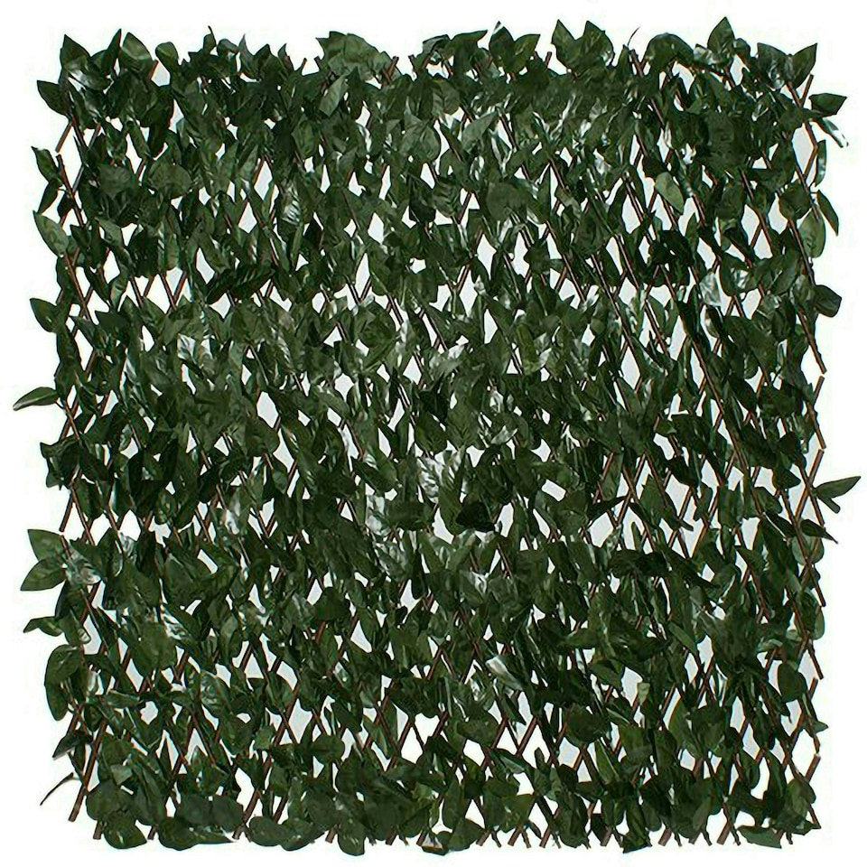 image 1 of Primrose Artificial Goat Willow Extendable Trellis Privacy Screening 2m x 1m