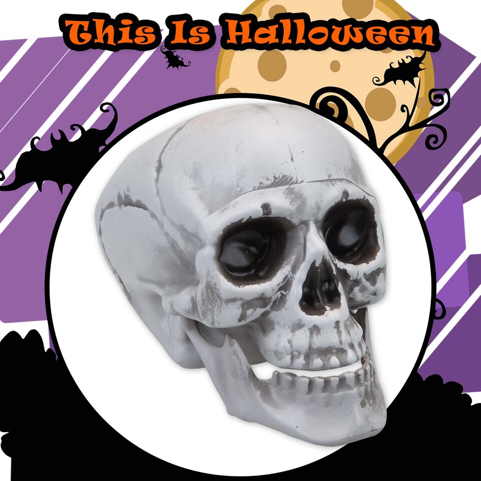 image 1 of PMS Large Skull Decoration with Moving Jaw - 19cm White