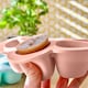 image 5 of Béaba Silicone 6 Weaning Portions Storage Tray 90ml Pink