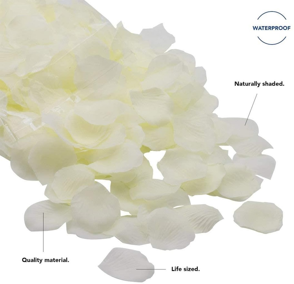image 1 of Ivory Rose Petals 500 Pack  Premium Silk Petals for Wedding Aisles, Table Decor & Party Styling