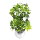 image 1 of Artificial plant with premium metal planter Botanik Botanik