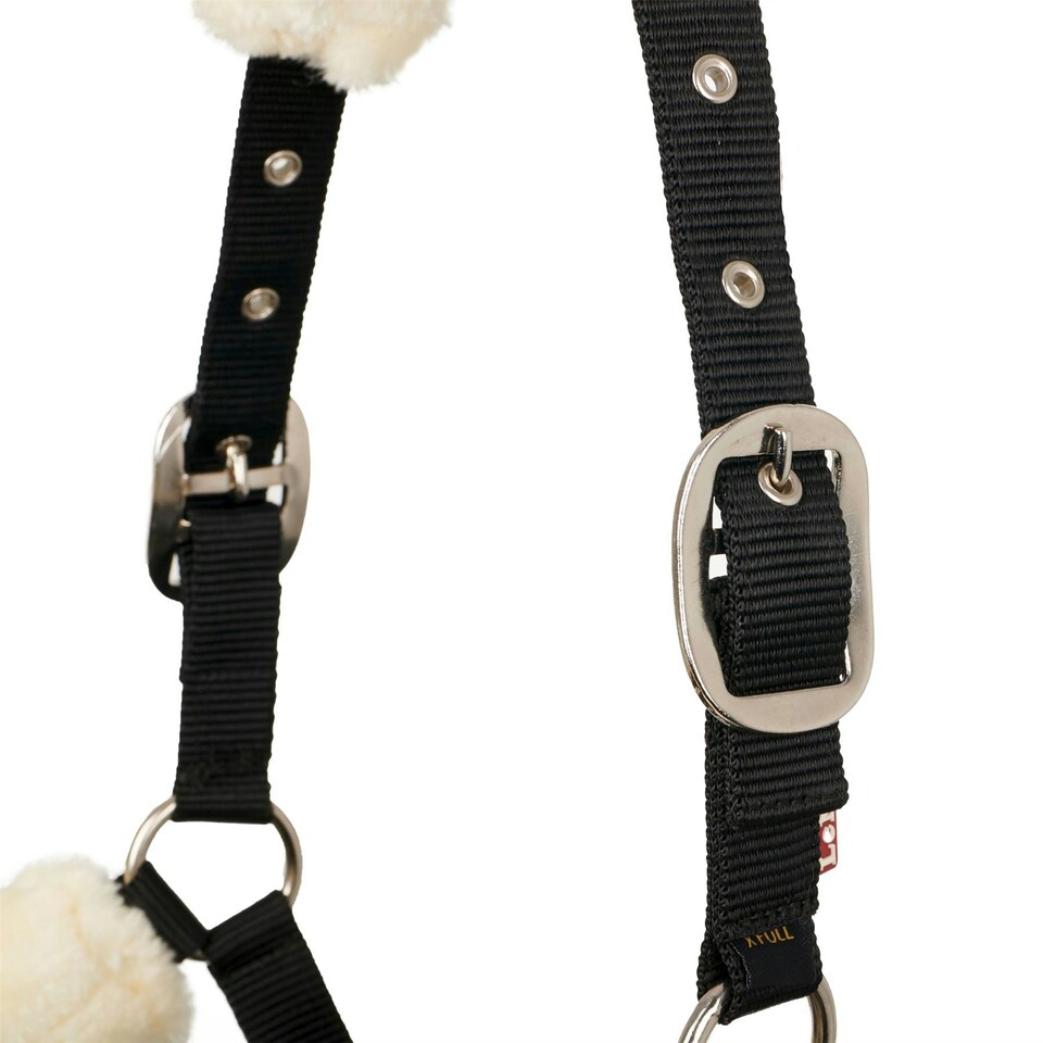 image 1 of LeMieux Comfort Headcollar Blue | X-Full