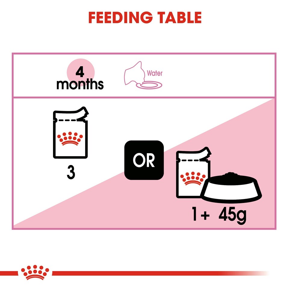 image 1 of ROYAL CANIN® Kitten Wet Food N/A | Texture: Jelly
Size: 12 x 85g