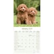 image 3 of Poodle 2026 Calendar | Square Wall Calendar | Dog Breed Gift | Plastic Free Packaging | by Avonside Publishing