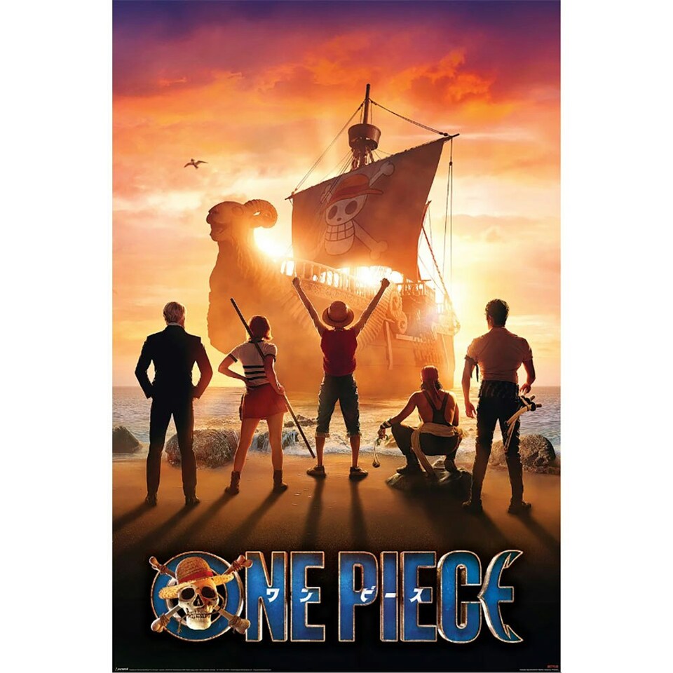 One Piece Live Action Poster - Multicoloured - One Size
