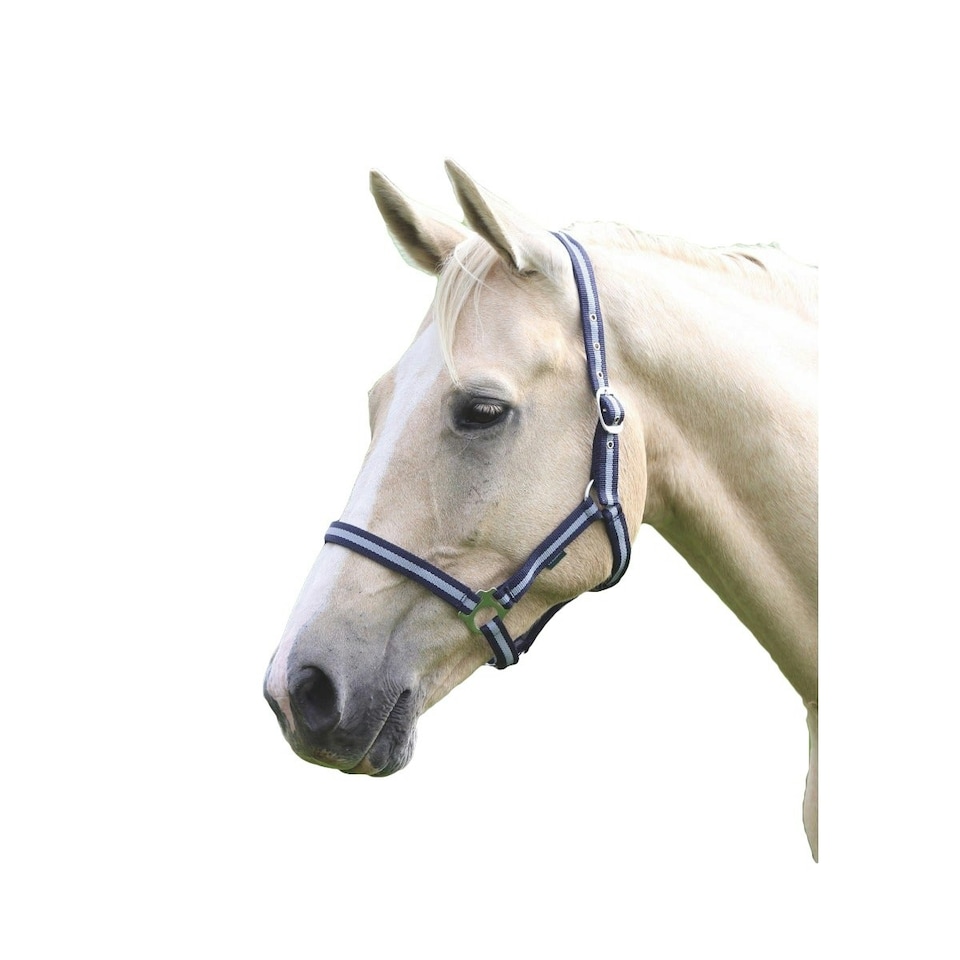 Wessex Horse Headcollar - Navy/Silver - Pony