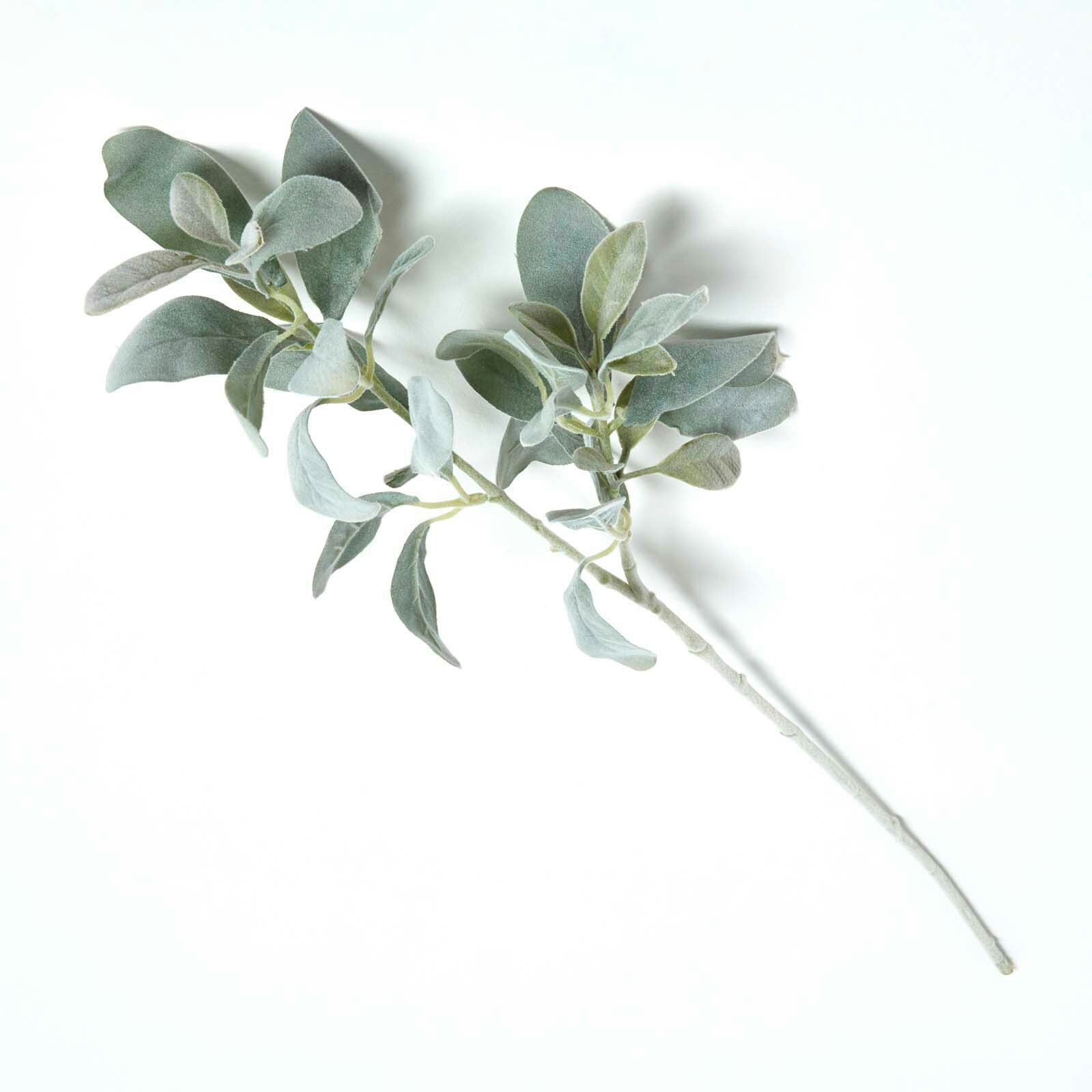 Homescapes Lambs Ear Foliage 70 cm in Green