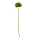 image 1 of Hill Interiors Moss Stem Artificial Flower - Green - One Size