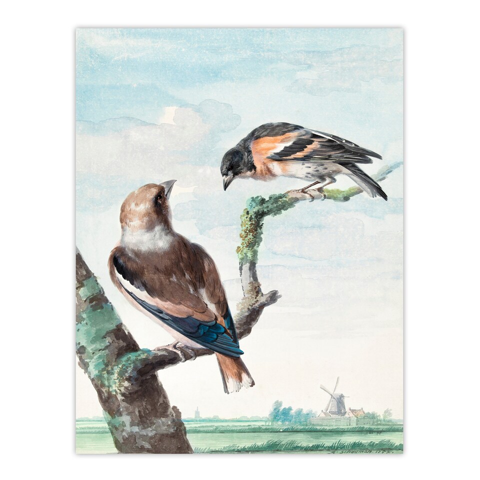image 1 of Aert Schouman Framed Wall Art Two Hawfinch Birds in Rural Landscape Home Décor