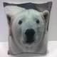 image 2 of Polar Bears Cushion Cover with Cusion Pads (43x43 cm) Multi