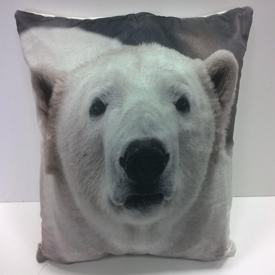 image 1 of Polar Bears Cushion Cover with Cusion Pads (43x43 cm) Multi