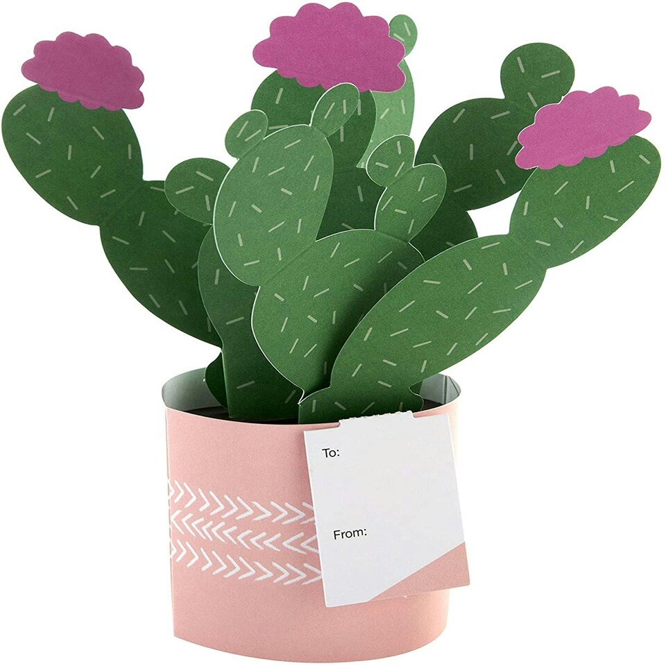 image 1 of Contemporary Cactus Design Pop Up Card
