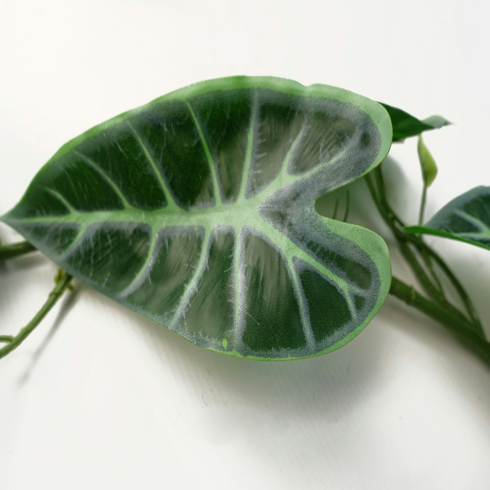 image 1 of 6 x 180cm Artificial Hanging Trailing Amazonica Plant