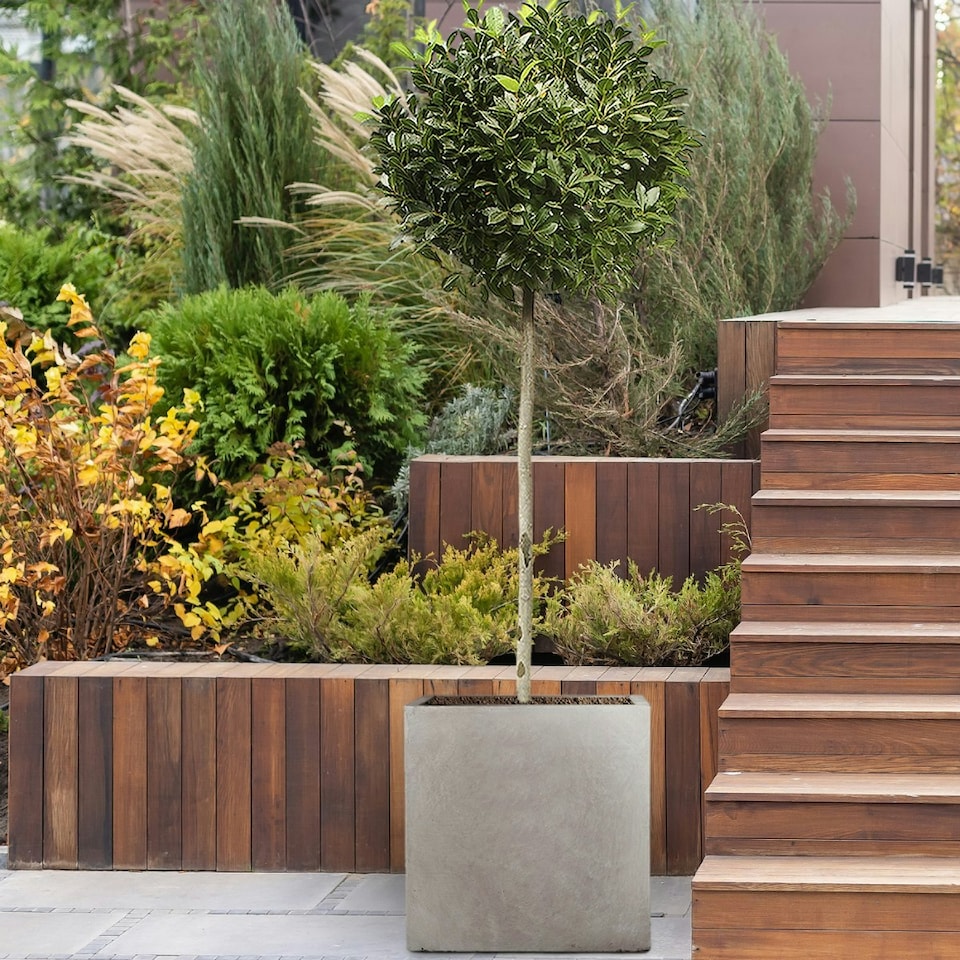image 1 of Square Box Grey Light Concrete Garden Planter H50 L50 W50 cm, 126 ltrs Cap.