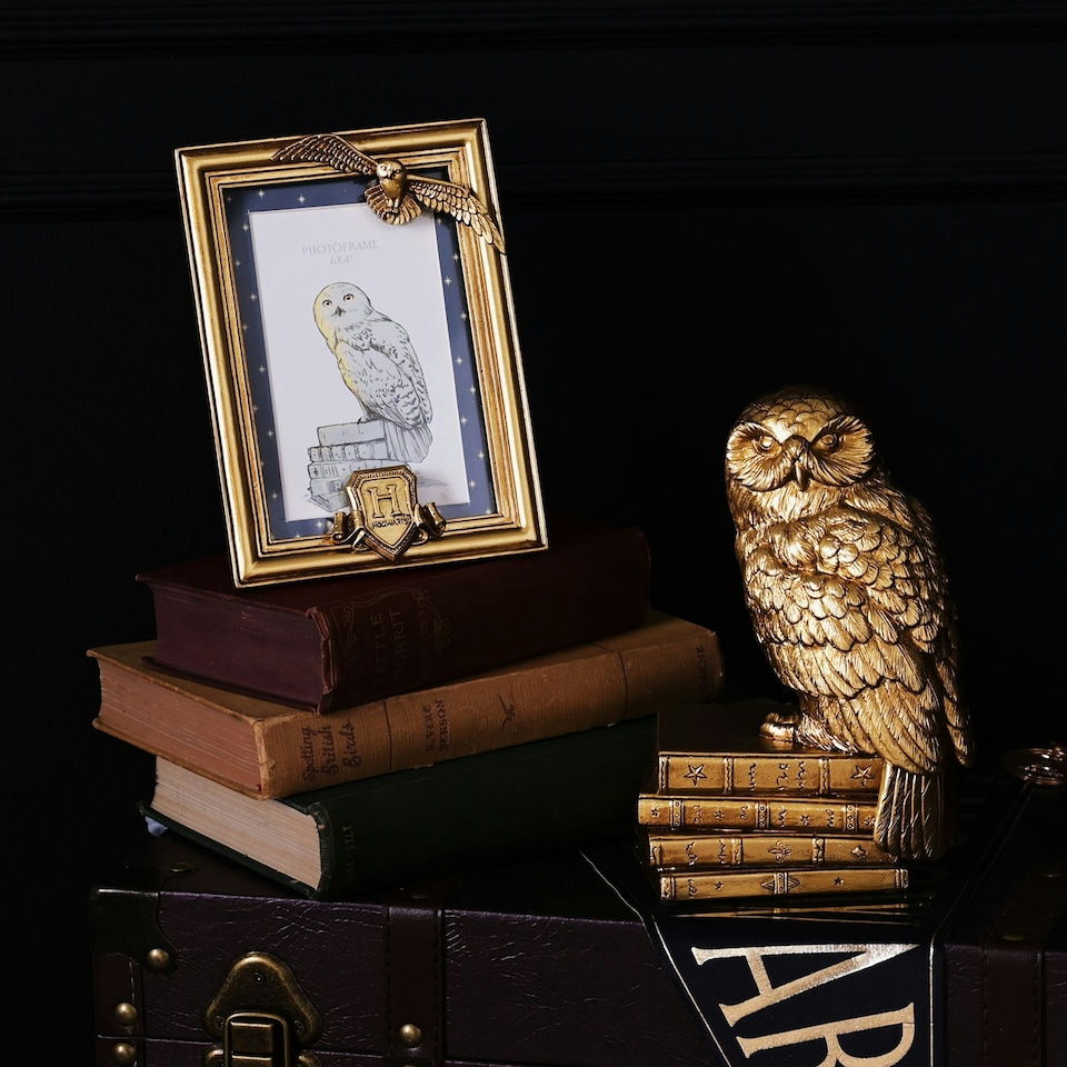image 1 of Warner Bros Harry Potter Alumni Gold Photo Frame Hedwig