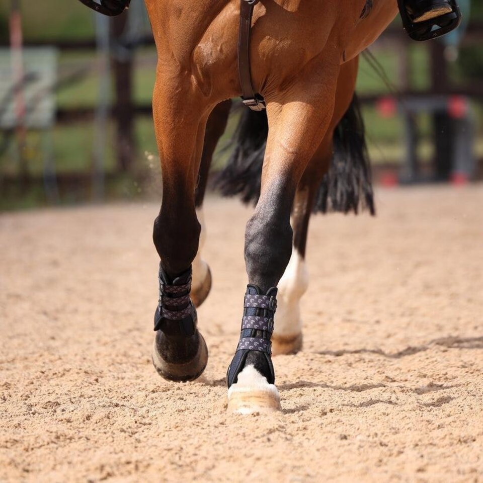 image 1 of Shires ARMA Carbon Training Boots Brown | Size: Full
Colour: Brown