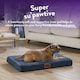 image 2 of Paws for Slumber Orthopedic Pet Bed, Small